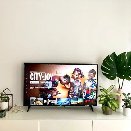 Mint Apartment